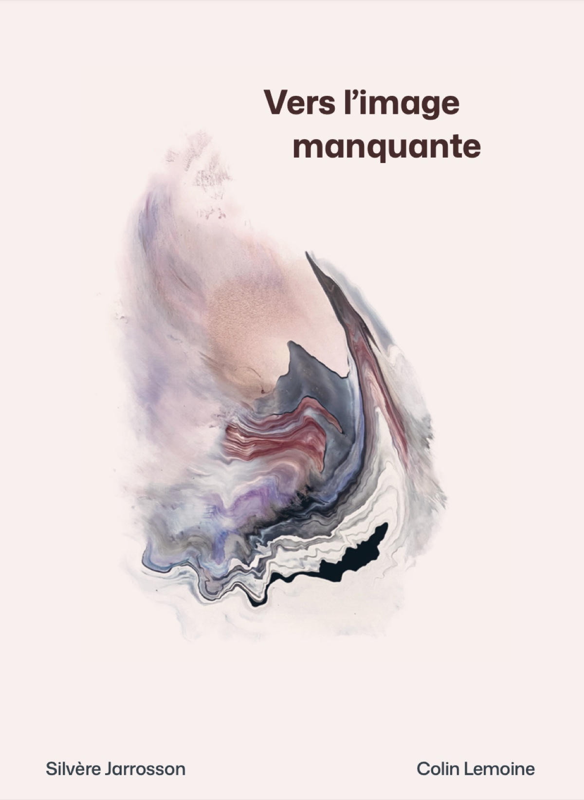 Couverture de Vers l'image manquante